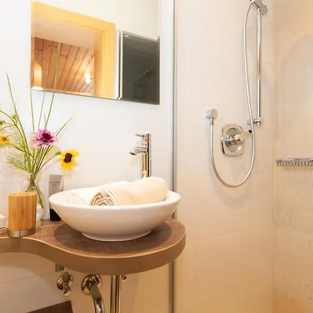 Apartament Appartments Niedermoser Leogang